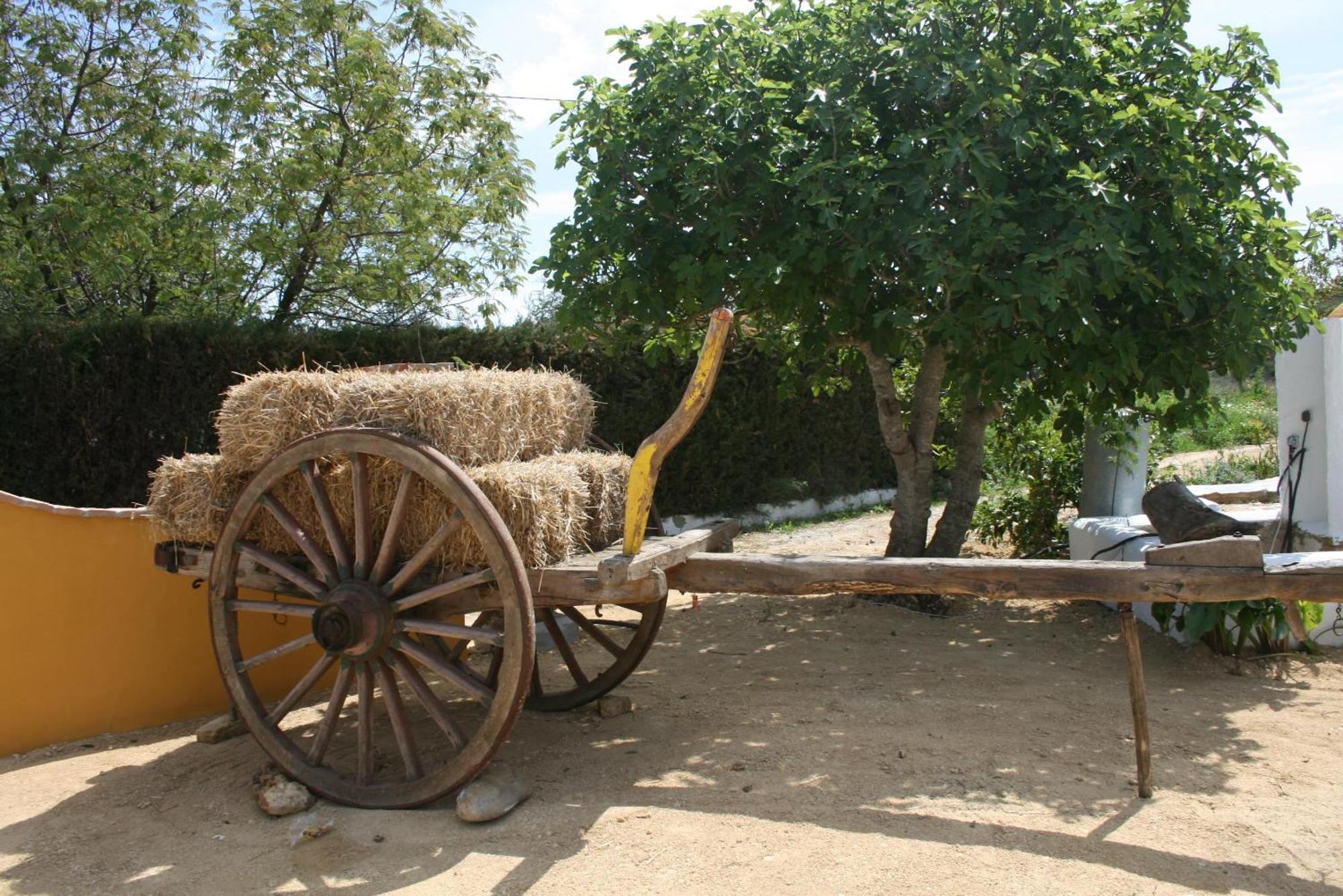 Hacienda Los Majadales Conil De La Frontera Ngoại thất bức ảnh